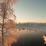 Jeris week 45 12-9673